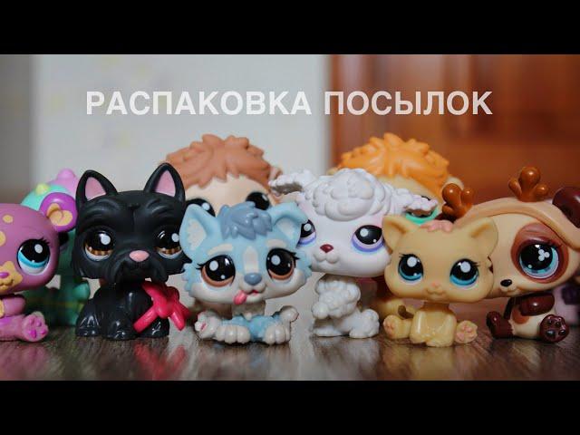 LPS: Распаковка посылок с lps ＼(￣▽￣)／