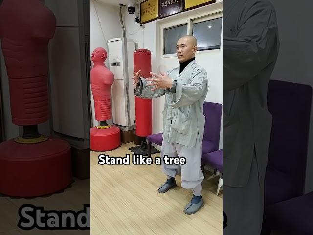 #healthimprovement #kungfu #martialarts #zhanzhuang #standingpractice #yiquan #standmeditation