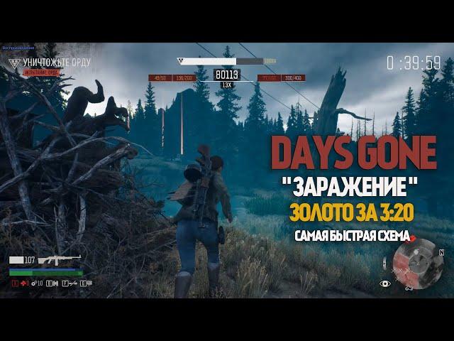 Days Gone "ЗОЛОТО" за 3:20 минуты | Заражение | Испытания