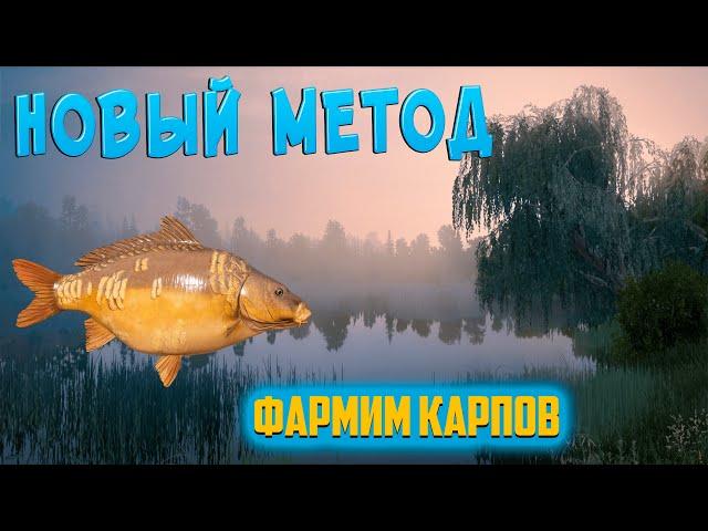 Ловля карпа на оснастку метод. Рыбалка на озере в РР4
