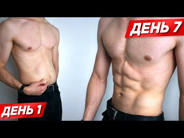 КАК НАКАЧАТЬ ПРЕСС ЗА 7 ДНЕЙ