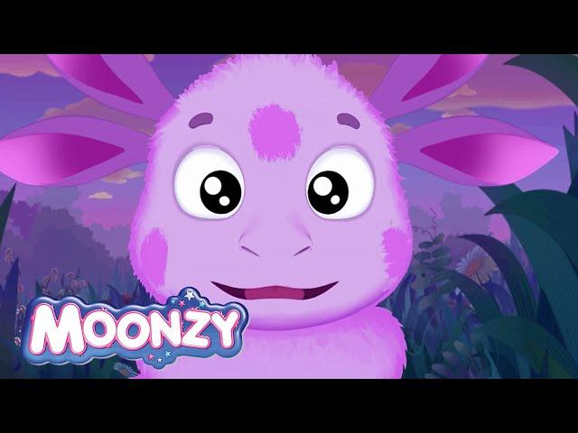 Moonzy | Luntik | Chickens and eggs  Cartoons for kids