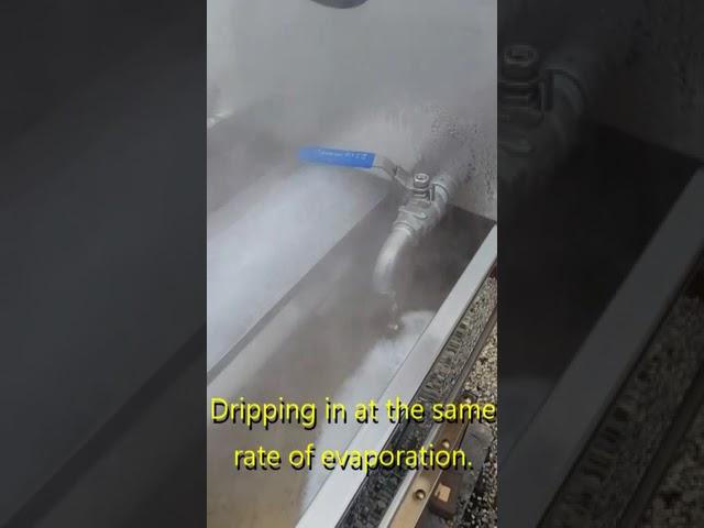 Making Maple syrup on the Homestead