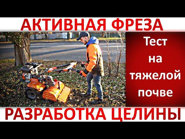 Активная фреза Husqvarna в работе, поднятие целины мотоблоком Husqvarna TF 545