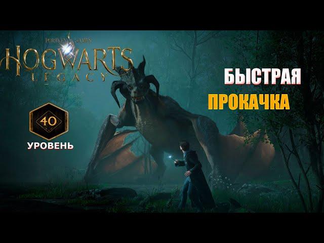 HOGWARTS LEGACY ГАЙД / HOGWARTS LEGACY БЫСТРАЯ ПРОКАЧКА / КАК БЫСТРО ПРОКАЧАТЬ 40 УРОВЕНЬ