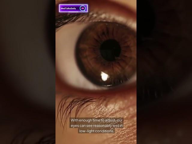 Human eye mind blowing facts
