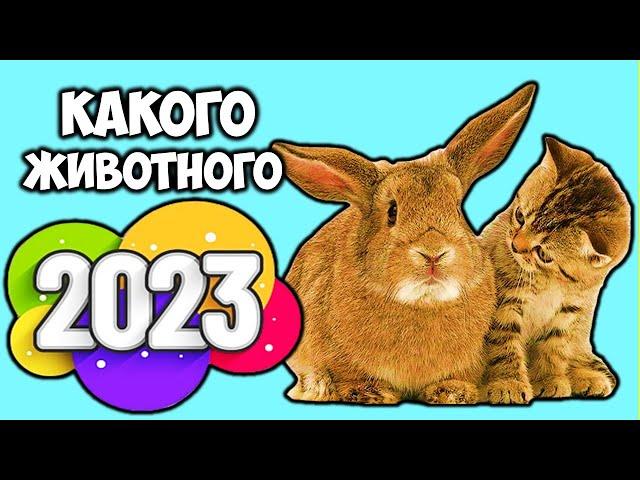 2023 год какого животного по Восточному гороскопу