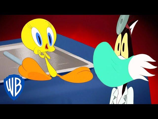 Looney Tunes in italiano  | Titti dal Dottore  |  WB Kids