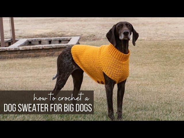 Easy Crochet Dog Sweater for Large, XL, and XXL Dogs