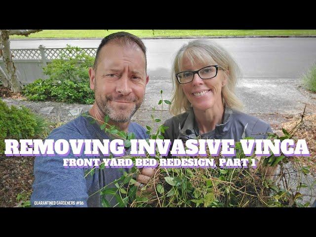  Removing Invasive Vinca: Front Yard Bed Redesign Part 1 - QG Day 86 