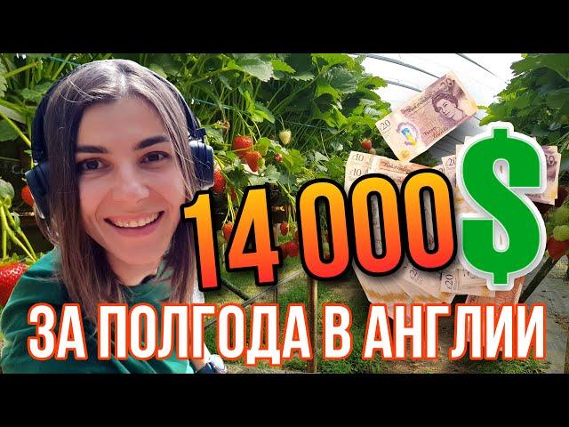 Сколько ДЕНЕГ я заработала НА ФЕРМЕ в АНГЛИИ? Мой итог за 6 месяцев!!! Кто ждал - держите! 