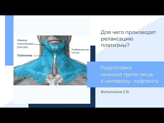 Релаксация платизмы