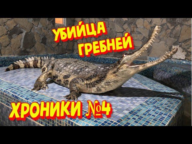 [Хроники № 4] Аллигатор грызет стену