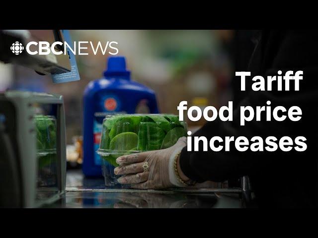 Grocery shoppers will feel an immediate impact from tariffs, says UBC supply chain expert