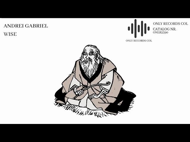 Andrei Gabriel - Wise