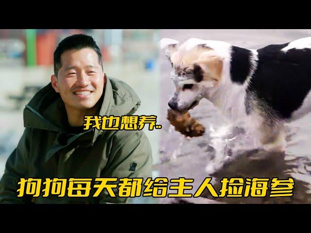 狗狗為報答主人，每天送他兩個大海參，訓犬師看後：借我養幾天