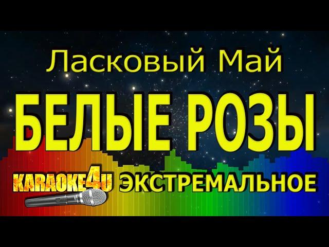 Ласковый Май | Белые розы | ЭКСТРЕМАЛЬНОЕ КАРАОКЕ (Кавер минус)