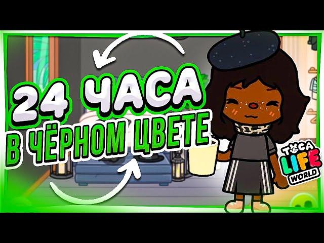 24 ЧАСА в ЧЕРНОМ ЦВЕТЕ в ТОКА БОКА челлендж Toca Life world