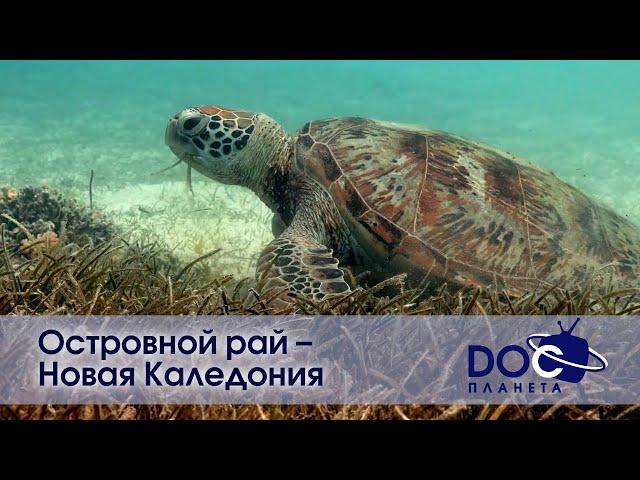 Островной рай – Новая Каледония - Документальный фильм