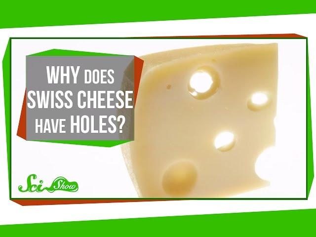 Why Does Swiss Cheese Have Holes?