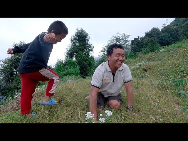 wonderful life in the village || Bhumi & son  herding cows  goats in the jungle || playing with son