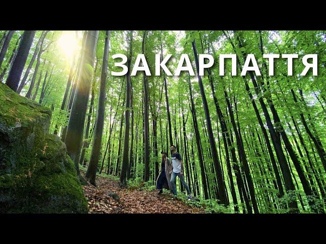 ЗАКАРПАТТЯ |1| Яке ви не бачили  Де відпочити? |КАМОН|