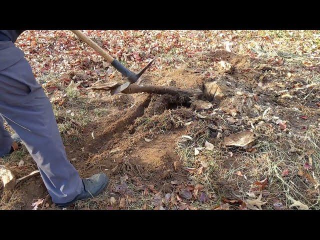 Day in the Life of Retired Guy- Chainsaw Work @CraigHelsel #retirement