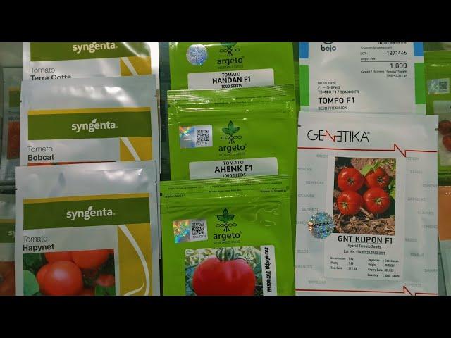 "AMIR AGRO" pomidor urug'larimiz (yangi partiya) haqida qisqacha ma'lumot. tel: +998 90 477 29 94