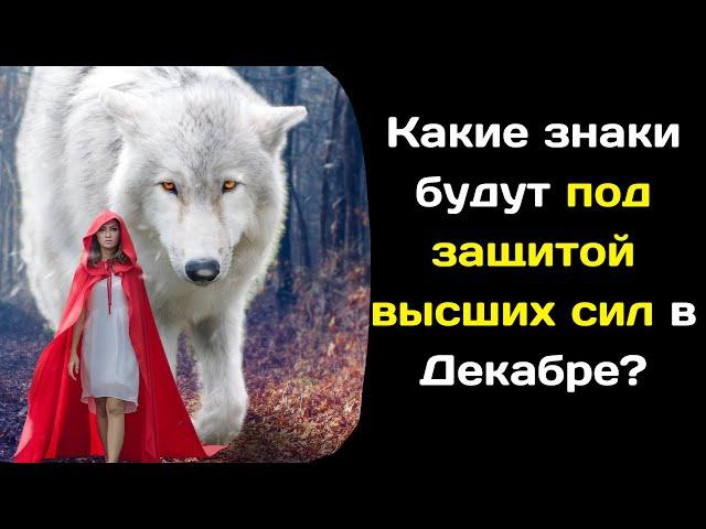 Какие знаки будут под защитой высших сил в Декабре?