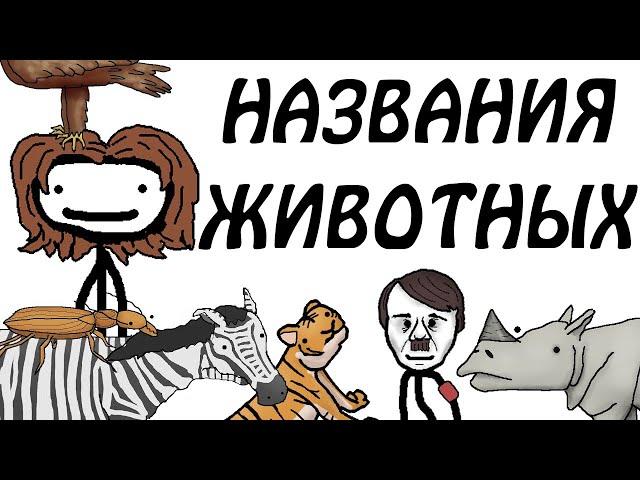 "Откуда берутся научные названия животных" - Академия Сэма О'Неллы (от Брокколи)