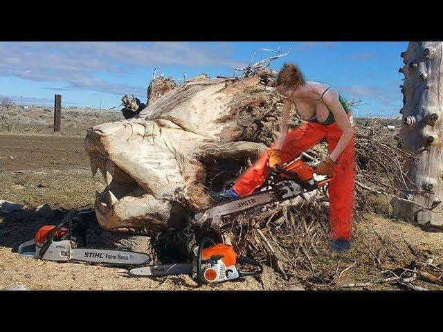 Wood Carving Skill and Techniques, Amazing Fastest Wood Carving Skills With Chainsaw