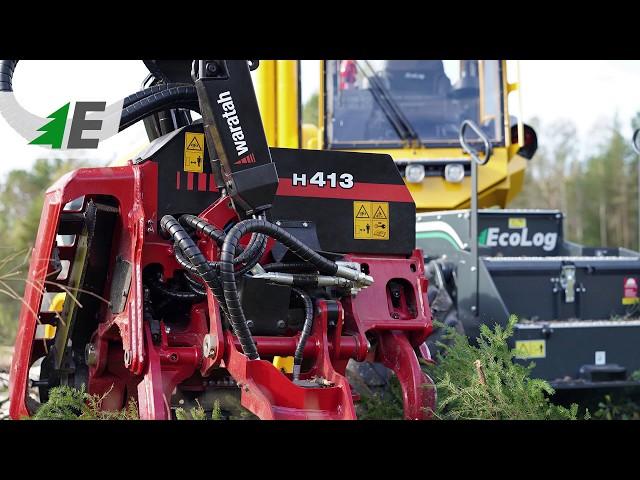 Eco Log harvesters with Waratah heads. Forestry machines.