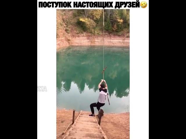 лучшие друзья)