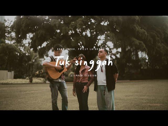 Daun Jatuh, Prilly Latuconsina - Tuk Singgah (Stripped Version)