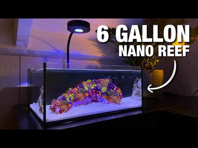 Setting up my New Nano Reef Tank: Step by Step Tutorial