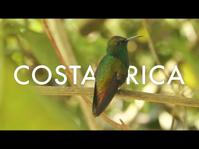 EXPLORE COSTA RICA - A Cinematic Travel Video