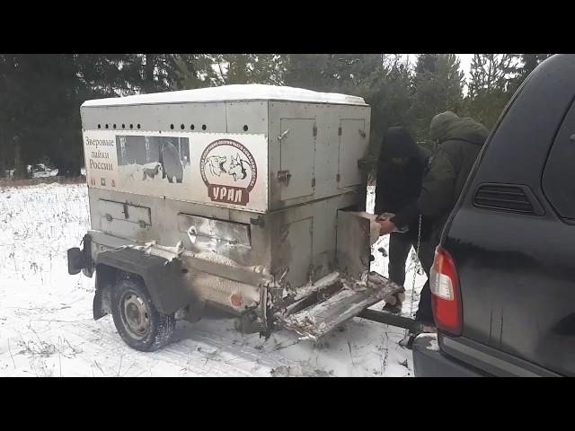 В перерывах между охотами