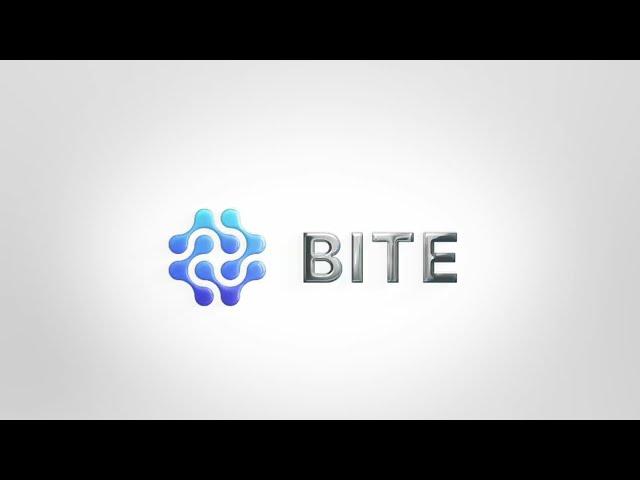 BITE Analytics Vault How To Guide