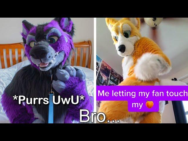 Tiktok Furries SCARE ME...