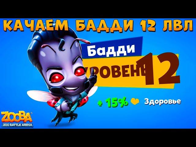 КАЧАЕМ БОЖЬЮ КОРОВКУ БАДДИ НА 12 УРОВЕНЬ В ИГРЕ ZOOBA