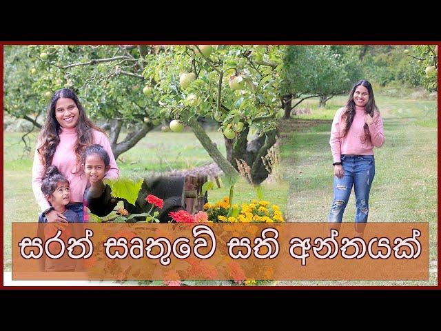 WEEKEND DAY IN THE LIFE | SINHALA | APPLE PICKING IN USA