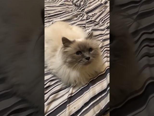 БЭЛЬ"- отдых, когда денег  нет..."