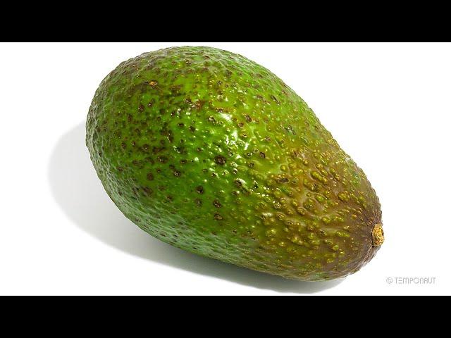 Rotting Avocado Time Lapse