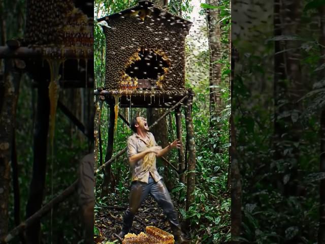 While collecting honey bee attack in the jungle!  #bee #attack #jungle