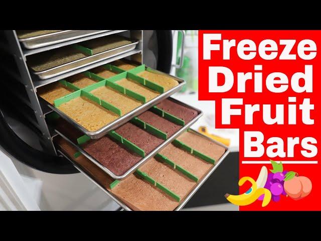 Freeze Dried Fruit Bars -- Banana, Strawberry, Blueberry, Peach #freezedriedfruit #fruitpowder