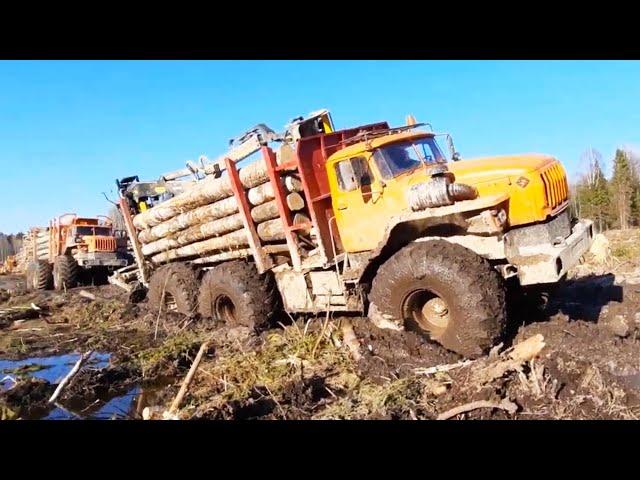 You've never seen anything like this! SnowRunner in real life! Ural, Tatra, MAN, IFA Off-Road