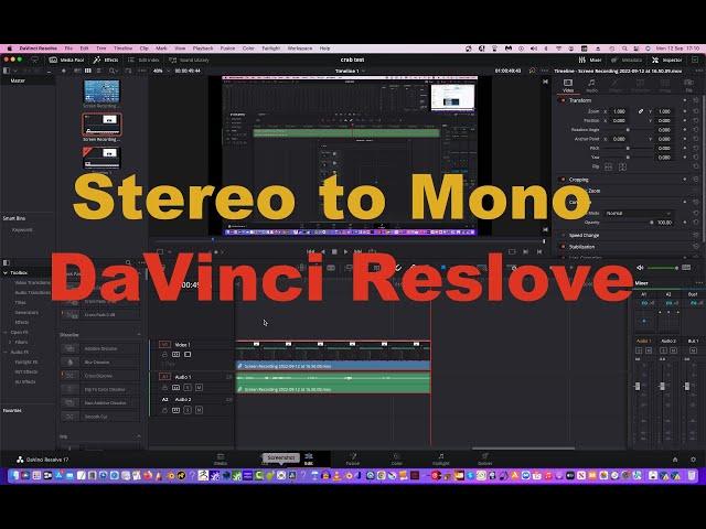 DaVinci Resolve Stereo to Mono Audio