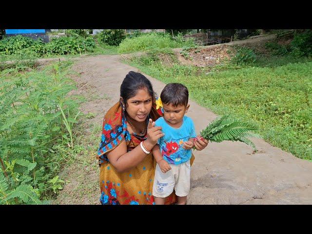 আমরা দুই দিন ভিডিও দিতে পারিনাই কেন | Our Simple Village Morning Life