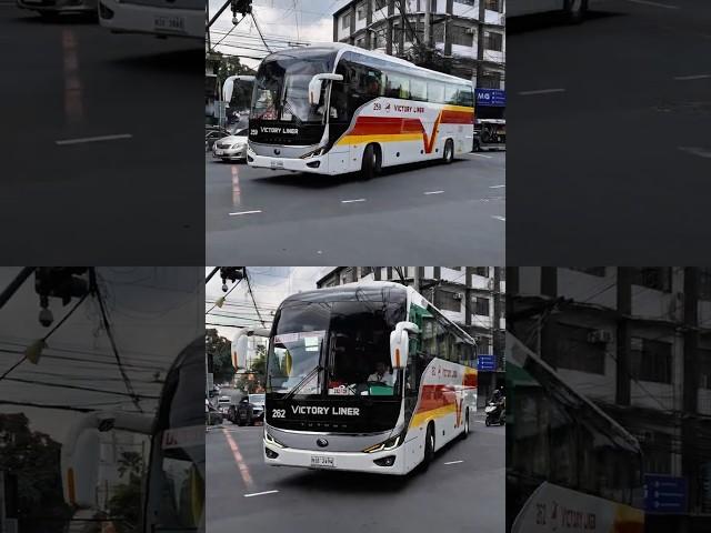 #VictoryLiner 259 & 262 #Yutong ZK6128H C12 Pro #fyp #busenthusiast #youtubeshorts