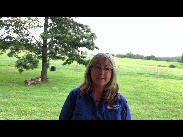 Managing Bovine Ephemeral Fever - Dr Lyndell Stone